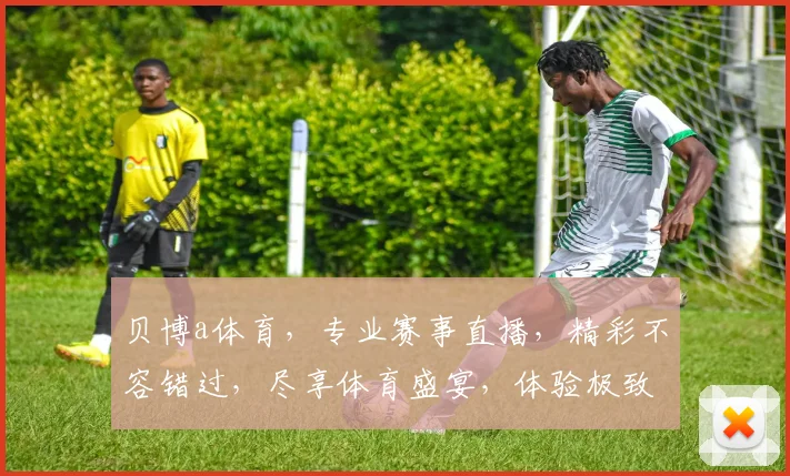 贝博a体育，专业赛事直播，精彩不容错过，尽享体育盛宴，体验极致观赛