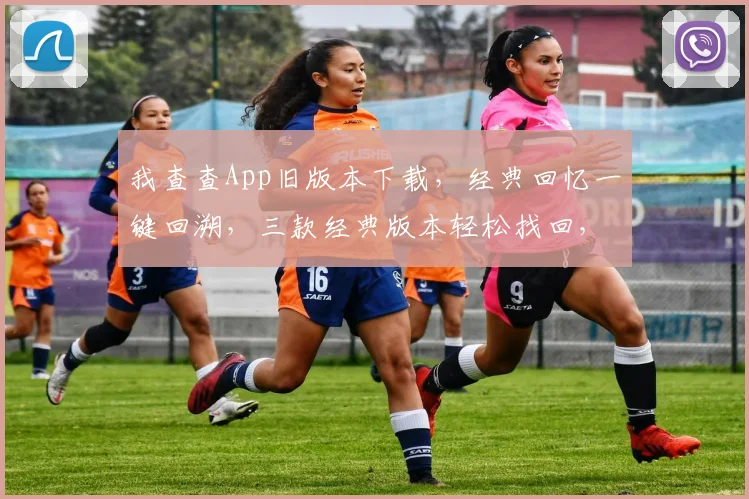 我查查App旧版本下载，经典回忆一键回溯，三款经典版本轻松找回，怀旧必备