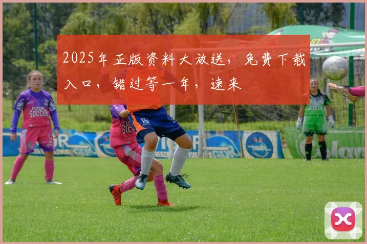 2025年正版资料大放送，免费下载入口，错过等一年，速来