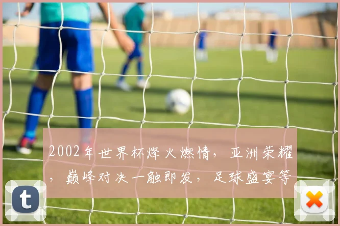 2002年世界杯烽火燃情，亚洲荣耀，巅峰对决一触即发，足球盛宴等你来