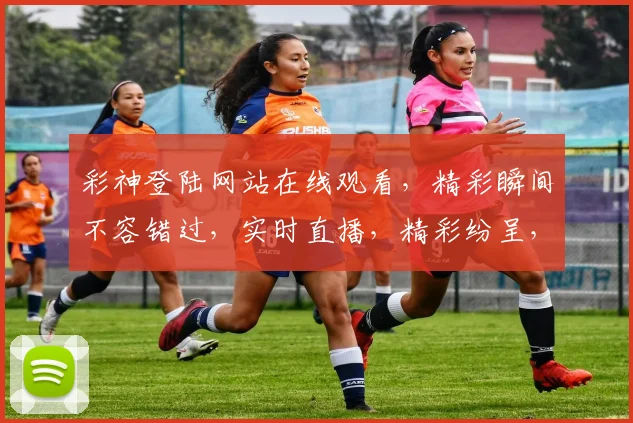 彩神登陆网站在线观看，精彩瞬间不容错过，实时直播，精彩纷呈，尽在掌握，体验非凡